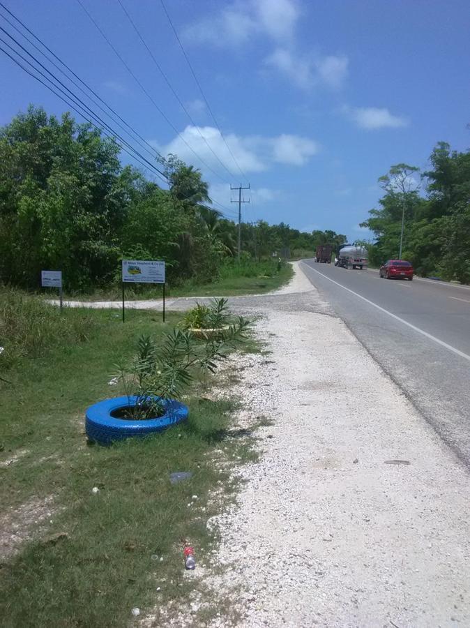 Tranquil Sea View Studio W Infinity Pool Near Airport & Downtown Belize City Exterior photo